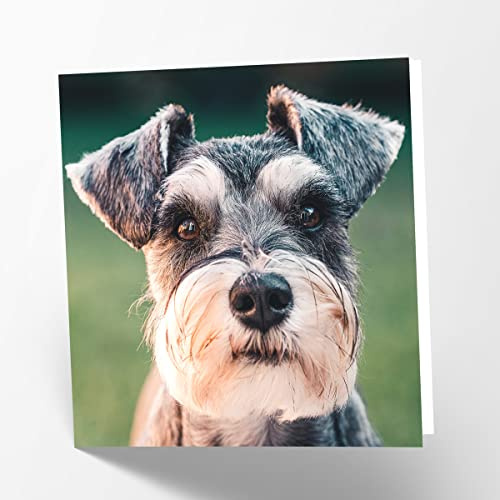 Maturi Blanko-Grußkarte mit Schnauzer-Motiv