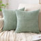 EMEMA Kissenbezug 45x45 cm Kordsamt Kissenbezüge Dekokissen Sofakissen Cord Kissenhülle Zierkissenbezug Kord Dekorative Weiche für Sofa Wohnzimmer Schlafzimmer 2er Set Hellgrün