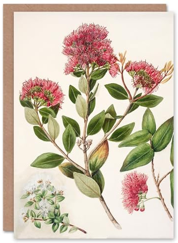 Artery8 Sarah Featon Art Card New Zealand Rata Flowers Illustration
