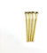 M3.5 Brass/Gold Electrical Socket Screws, 50mm, For Switches, Light Switch, Plug Sockets, 3.5mm x 50mm, (4)
