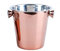 Vision4ever 1Pcs Metal champagne rose gold bucket ice cooler party drink beer cooler