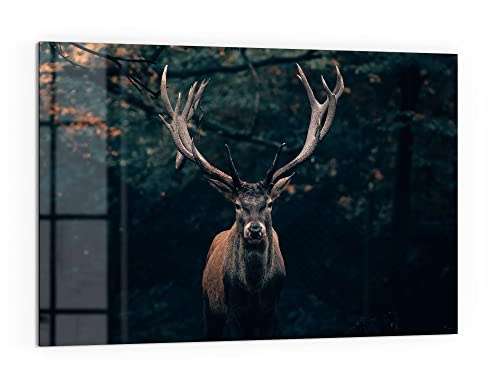 DEQORI Küchenrückwand Glas | Motiv Elch im Teutoburger Wald | 60x40 cm | Bad- oder Herd-Rückwand | Herdblende Spritzschutz für Küche & Badezimmer | moderne Deko für Fliesenspiegel