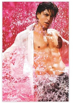 Leinwandposter Schauspieler ShahRukh Khan 1, Wandkunst, Dekordruck, Bild Gemälde für Wohnzimmer, Schlafzimmer, Dekoration, 30 x 45 cm