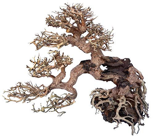 Amtra - Oriental Wind 7 Holz, handgefertigt, für Aquarien, 30X13X23 cm