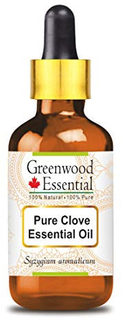 Greenwood Essential Huile essentielle de clou de girofle naturelle (Syzygium aromaticum) avec compte-gouttes en verre, distillée à la vapeur, 10 ml