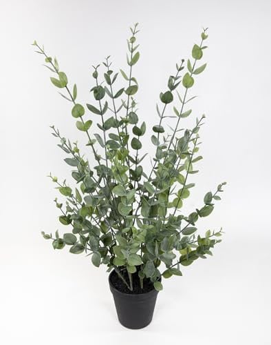 Seidenblumen Roß Eukalyptusbusch 60cm im Topf YF Kunstpflanzen künstliche Pflanzen Eukalyptus