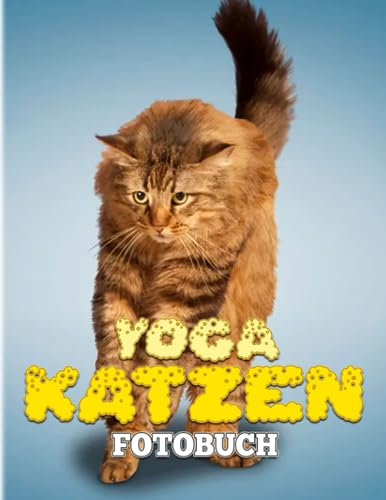 YOGA-KATZEN Fotobuch: Yoga-Katzen und Kätzchen Fotografie für Haustiere | Hochwertige Bilder und über 40 Seiten zur Entspannung