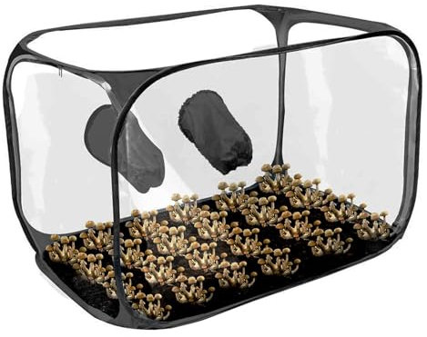 Generisch Pilz-Zuchtbox, Pilz-Still-Luftbox, Pilzzelt, Pilzzuchtbeutel, Gartenbaubedarf, Pop-up-Design, Faltbare Wachstumsbehälter, Für Anbau- Und Wachstumsexperimente