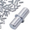 SKIR'CO (100 pezzi) Spille per mensole 4 x 16 mm, perni di supporto per mensole, staffe per scaffali, picchetti di supporto per mensole