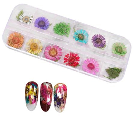 Healeved Nagel-tattoos Ananas -dusche-dekor Nagelgetrocknete Blumen Trockene Für Nägel Nagelblumenaufkleber Eisschwamm Nagelzubehör Gemüseaufkleber Japanisch Blatt
