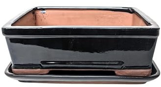 Generic Glazed Ceramic Bonsai Pots with Matching Drip Trays (Black, 26cm)