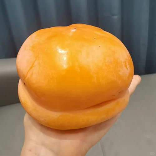 30 pcs Kaki Baum Samen - zwergobstbäume, zimmerpflanze Kakibaum Winterhart Kaufen - obstbaum saatgut geschenk extrem winterharte kübelpflanzen, geschenke für gartenfreunde balkonpflanzen