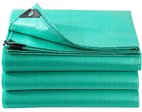 RLINZ PVC Tarpaulin Cloth, Tarpaulin Waterproof, Rain-proof and Sun-proof, for Carport Pergola Construction Site, 38 Sizes (2x9m)
