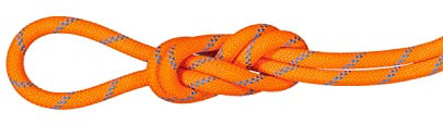 Mammut 8.7 Alpine Sender Dry Einfachseil