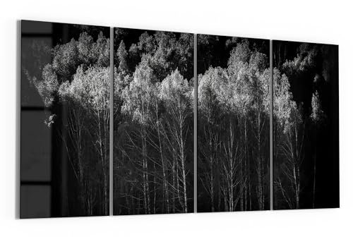 DEQORI Glasbilder Echtglas | Motiv Stille des Waldes | horizontal 4-teilig 4x30x60 cm | große XXL Deko | Wandbilder für Wohnzimmer, Schlafzimmer, Flur & Küche | moderne Wanddeko