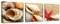 bestpricepictures 150 x 50 cm Bild auf Leinwand Muschel 4217-SCT deutsche Marke und Lager - Die Bilder/das Wandbild/der Kunstdruck ist fertig gerahmt