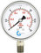 CARBO Instruments Stainless Steel Pressure Gauge Dual Display (0-15 psi/kPa) - 2 1-2 Glycerine Liquid Filled Water Air Oil Gas Gauge with Polycarbonate Lens & Brass Connection - 1/4 NPT