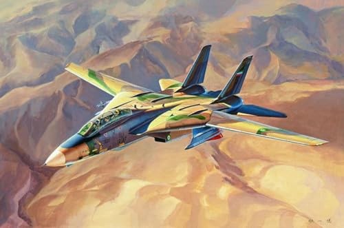 Hobbyboss 1: 48 - Iriaf F-14A Tomcat Persian Cat