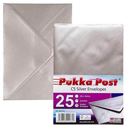 Pukka Pad, Pukka Briefumschläge, gummiert, 100 g/m², 25 Stück, 229 x 162 mm, Größe C5, Silber