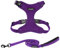 Best Pet Supplies Voyager Step-In Lock Hundegeschirr und reflektierende Hundeleine, Kombi-Set mit Neoprengriff, 1,8 m lang, unterstützt kleine, mittelgroße und große Rassen, Welpen/Katzen, Violett