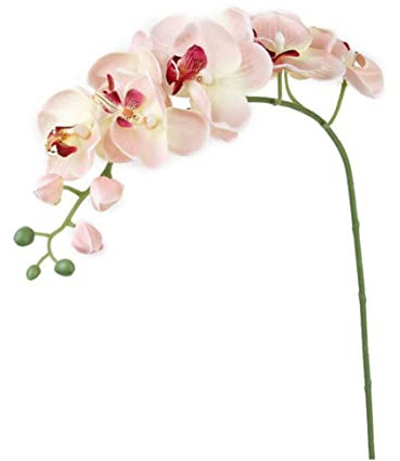 Piante artificiali fiore di orchideo interno, piante da interno artificiale stelo falaenopsis di seta finta, vera simulazione tocco farfalla orchidea artificiale fiori artificiali in pentole pia