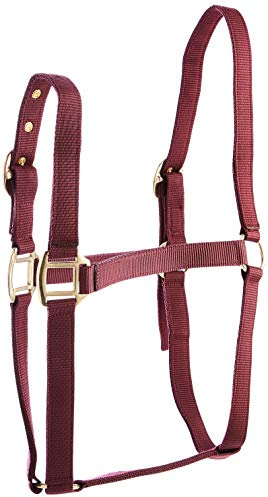 Rhinegold Nylon Headcollar - X Full - Burgundy