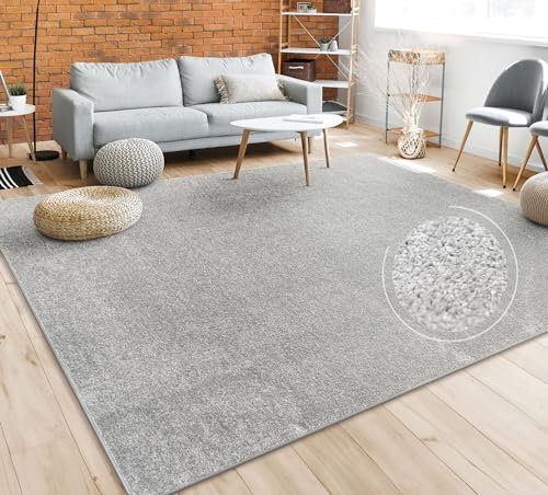 Paco Home Teppich Wohnzimmer Schlafzimmer Esszimmer Kurzflor Moderne Optik Einfarbig Pastell, Grösse:240x340 cm, Farbe:Silber