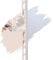 ProfileXXL PVC Abschlussprofil, Abschlussleiste, Kantenschutz 2,5m Weiß 25 x 4mm Putzschienen aus hart PVC, für Innen- & Außenputz