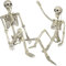 CHBOP 2 Pack 165cm 100cm Halloween Skelett Lebensgröße Ganzkörper bewegliche Gelenke hängende Requisiten Horror Skeleton