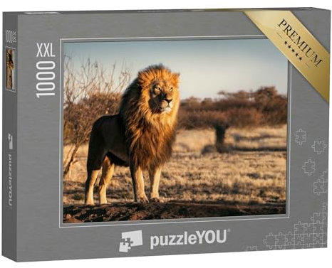 Puzzle 1000 Teile XXL „Einzelner Löwe mit königlichem Aussehen“ – aus der Puzzle-Kollektion Löwen, Safari, Raubtiere, Tiere in Savanne & Wüste