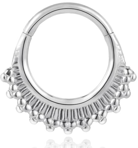DOEARKO Septum Ring 316L Edelstahl Nasenring Piercing 16G 8MM Nose Ring Helix Daith Rook Tragus Conch Cartilage Septum Clicker Hinged Segment Piercing Jewellery (Silber-2)