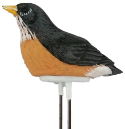 1 probador de suelo para plantas de interior, estilo pájaro, agua, humedad, jardín, sensor de prueba de agua, alarma de riego, higrómetro, recordatorio de plantas de interior para sonda interior