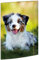RNKVERLAG 45360 - Zeichenmappe BestFriend 310 x 440 mm DIN A3 mit Gummizugverschluss, 1 Stück
