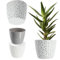 KADAX Blumentopf aus Kunststoff, ⌀ 11 – 21 cm, 5 Farben, einfacher Topf, robuster Pflanztopf, Pflanzkübel, runder Blumentopfschutz für Farn (⌀ 15cm, Grau)