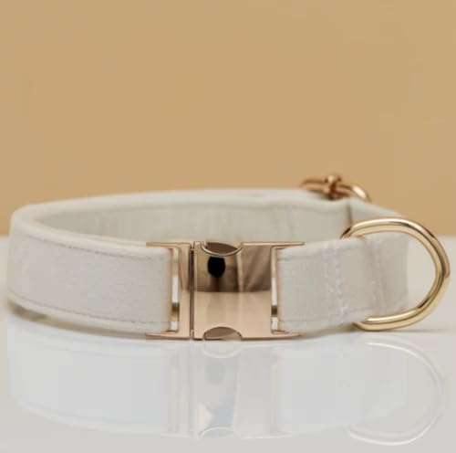 Elegantes Hundehalsband aus Samt mit Goldener Metallschnalle – Hochwertig, bequem & verstellbar – Edles Design in Mehreren Farben & Größen (23–60 cm) (Weiß, M = Umfang 30-50cm)