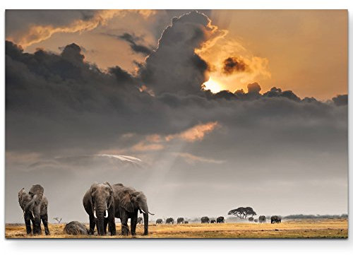 Paul Sinus Art Leinwandbilder | Bilder Leinwand 120x80cm afrikanischer Sonnenuntergang mit Elefanten