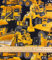 Fat Quarter Bagger, Traktor, Fahrzeuge Allover 100% Baumwolle Stoff