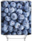 EHOMERY Duschvorhangklemme Duschrollo Für Fenster Wasserabweisend Blaubeere Duschvorhang Stoff Wasserdicht Badvorhang Textil Polyester Rostfreie Ösen Und 12 Hakenringe, 140X180Cm