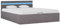 ShGaxin Bett mit Bettkasten Hydraulisch mit Taupe Stoff 120x200 cm, Bett, Bettgestell, Jugendbett, Schlafzimmer Bett, Bed Frame - 285626