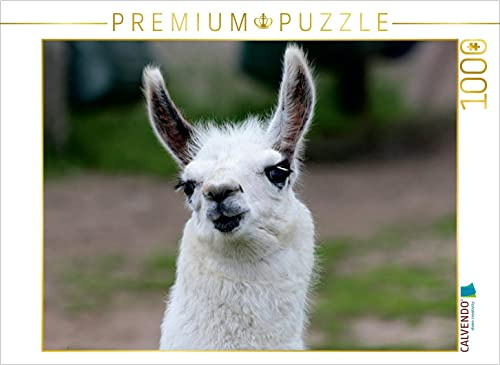CALVENDO Puzzle Lama Unschult | 1000 Teile Lege-Größe 64 x 48 cm Foto-Puzzle für glückliche Stunden