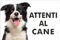 Pubblimania BORDER COLLIE Cartello Attenti al Cane in Alluminio, spessore 3mm (Cm 15x20)
