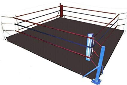 MMA Bodenring aus Segeltuch – für Wrestling, Boxen, Gymnastik und Kampfsport (schwarze Leinwand, 30,5 x 30,5 cm)