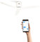 CREATE / WINDCALM DC/Ventilatore da soffitto con WIFI con motore DC bianco/Silenzioso, timer