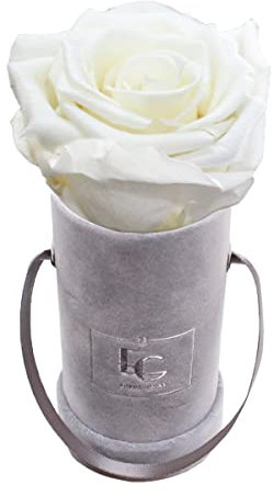 Emmie Gray Classic Infinity ROSENBOX | Velvet Gray | Runde Flowerbox - Infinity Rosen in Grauer Samtbox - 1-3 Jahre Haltbarkeit - Echte Rosen, die jahrelang blühen - Haltbare Rosen (XXS, Pure White)