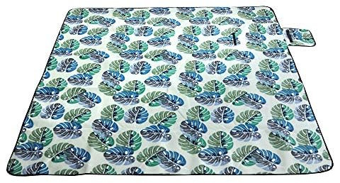 Special Glory Picknickdecke, Outdoor-Camping-Matte, groß, tragbar, wasserdichte Rückseite, für Familie, Konzerte, Strand, Park (grün und blau, 60 x 80 cm)