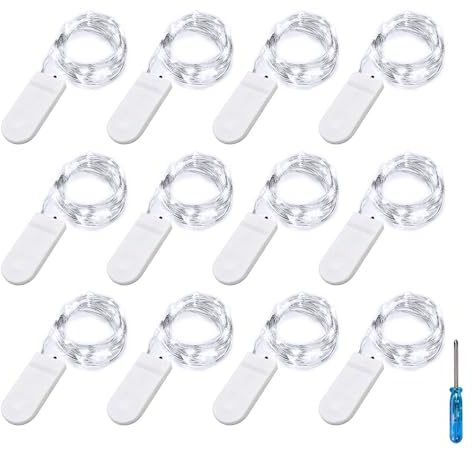 BXROIU 12 x 20 LED Micro Lichterkette Batterie 2 m mit CR2032 Kaltes Weiß | 2 m flexibler Silberdraht für Vasen, Geschenke und stimmungsvolle Beleuchtung zu Weihnachten & besonderen Anlässen