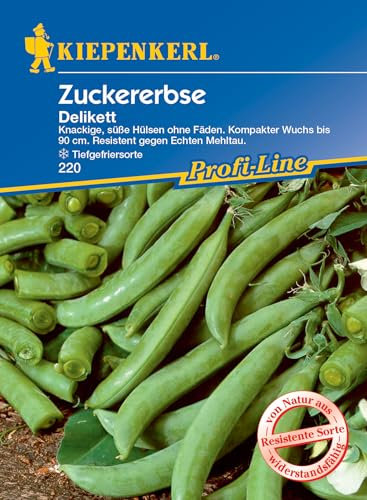 Kiepenkerl Profi-Line Zuckererbsensamen Delikett 220 - Knackige, süße Hülsen ohne Fäden. Kompakter Wuchs bis 90 cm, resistente Sorte - Gemüsesamen, Samen Gemüse