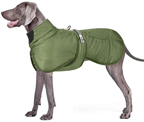 Dolahovy Winter Hundejacke Warmer Hundemantel Verstellbare Hunde Bekleidung Winddichter Reflektierende Hundeweste mit D-Ring Outfit für Mittlere Große Hunde Draussen