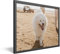 PICANOVA – Gerahmtes Bild auf Fotoboard 60x40 cm – Ihr Eigenes Foto auf Fotoboard als Personalisierte Wanddeko – Wandbild mit Wunschmotiv – Personalisierbares Geschenk, Weiß