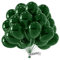 Palloncini Verdi Organico • 100 Pezzi • Prodotto in Europa • Palloncini premium realizzati in puro lattice naturale al 100% • Palloncini compleanno • Palloncini verde • Palloncini elio • Verde Scuro